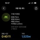 수영순대