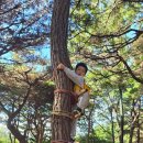 대창초교병설유치원 이미지