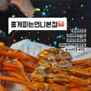 홍게파는언니 이미지