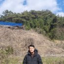 향-고향의 정 이미지