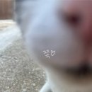 (유)주진 이미지