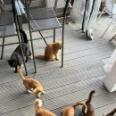 계곡담은집 이미지