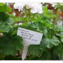 마리아농장 이미지