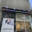 포지티브 보울 이미지