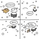 터질라김치찜