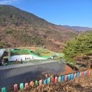 자수정 | 울산 자수정동굴 눈썰매 솔직 후기 I 미리 예매했는데 눈이 없어서 못 탔어요