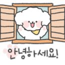 유성터미널공인중개사사무소 이미지