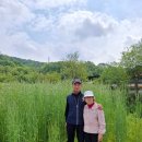 후미2리 네이버블로그