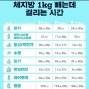 대청웰빙사우나 | [운동] 개포동 라이라이 맛집 / 체지방 1kg 빼는데 걸리는 시간