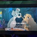 트램프스튜디오 이미지