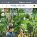 산청상회 이미지