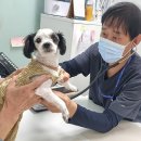 서울종합동물병원 이미지