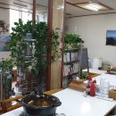 사량여객터미널 이미지