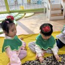 산들반∩^ω^∩오감-연방과연좌🪷 이미지
