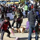 울산광역시 반려동물 문화센터 이미지