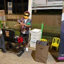 부평깡시장 | 부평 깡시장 야시장 방문 후기