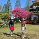 굿샷골프클럽 이미지