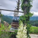 시낭송 교실 이미지