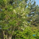 대왕아쿠아랜드 이미지