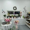 견생냥품 무인24시 동탄 영천동점 | 동탄꽃집추천 | 24시 꽃블리 가성비 맞춤꽃다발 후기