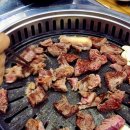 토성정육점