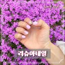 권선구 권선동 이미지