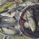 월척낚시터 이미지