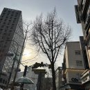 남대문 아동복 겨울시즌 첫방문(근처 식당 추천)