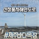푸른신창 | 제주 해안도로 서쪽 드라이브 코스 신창풍차해안도로