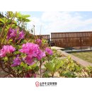 스카이요양병원 이미지