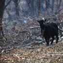 울안농장 이미지