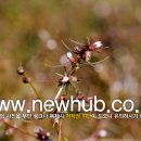 성고농장 이미지