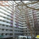 송동로-13 이미지