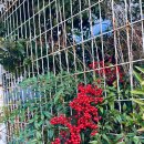 대죽동로 | 목포 인헤르또 카페부터 시화 골목, 근대역사관까지💙하루 코스로 꽉 채운 리얼 후기