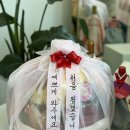 로즈애플 이미지