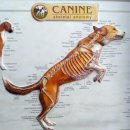 경희궁바른동물병원 이미지