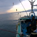 현대낚시 이미지