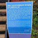 보광사 석조석가여래좌상과 짓샘 | 목포 보광사, 법당 안 샘물과 흰 석조부처상으로 유명.