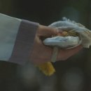 백이의 꿈 네이버블로그