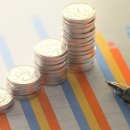 하이테디 | 남성 탈모, 남성 탈모 원인, 남성 탈모에 좋은 음식, 남성 탈모 치료, 남성탈모의 모든것