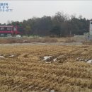 영태1리 마을회관 이미지