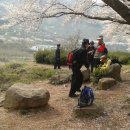 화개십리벚꽃길 이미지