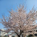 강모연행정사사무소 이미지