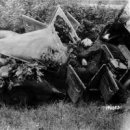 중장농장 이미지