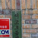 여고초등학교 이미지