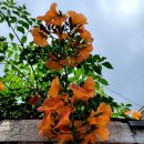 녹번서근린공원 이미지