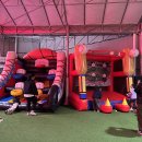 애니멀클럽 이미지