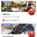 강진119지역대 1층 화장실 | Week4(4).July 31 | 롯데월드 | 롯데월드 프리패스 꿀팁 | 롯데월드 포토존 | 샤갈의 집