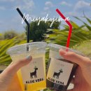 오리온농장 | 미야코지마 시기라 리조트 근처 카페 맛집 Shiro farm Cafe しろう農園 알로에 음료와 염소 체험 농장
