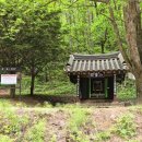 소백산 고치령(부드럽고 유장한 백두대간 줄기) 이미지